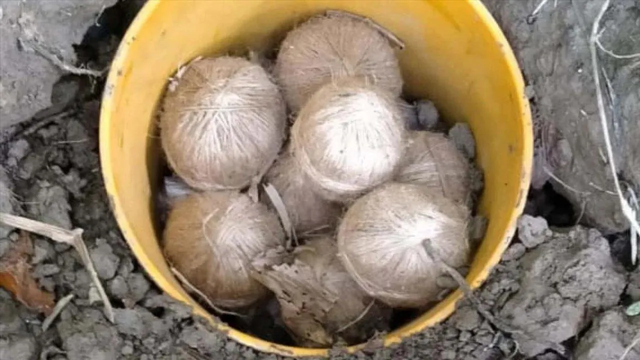 তারাপীঠের উদ্ধার তাজা বোমা