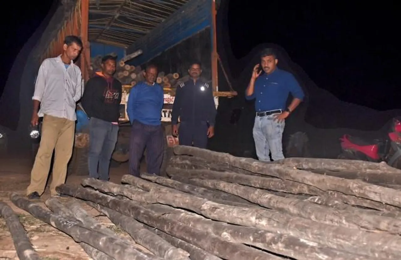 'পুষ্পা' সিনেমার কায়দায় শাল কাঠ পাচারের চেষ্টা মেদিনীপুর শহরে