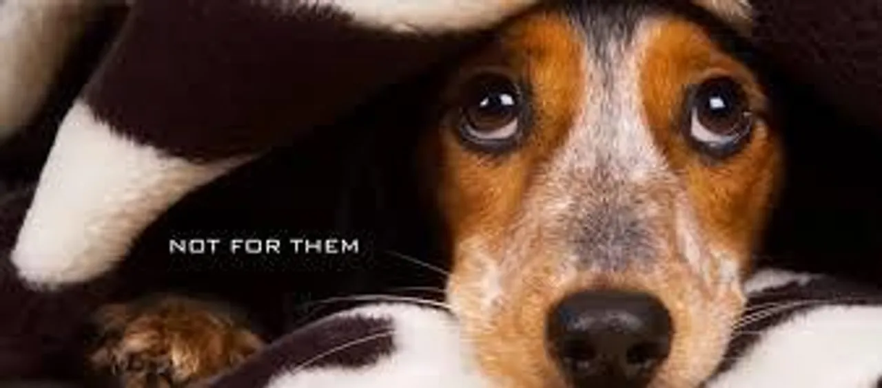 বন্ধ হোক পৈশাচিক উল্লাস!