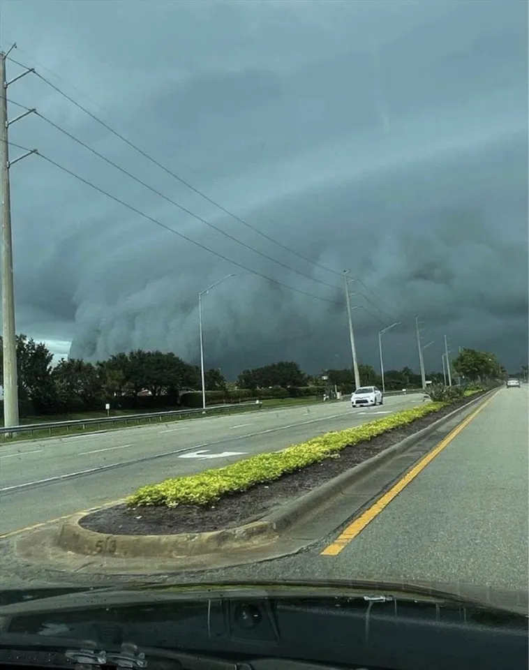 হারিকেন 'এলসা'র প্রভাবে ভারী বৃষ্টির কবলে লিসবার্গ, প্রভাব পড়বে ক্যারিবিয়া ও মধ্য আমেরিকায়