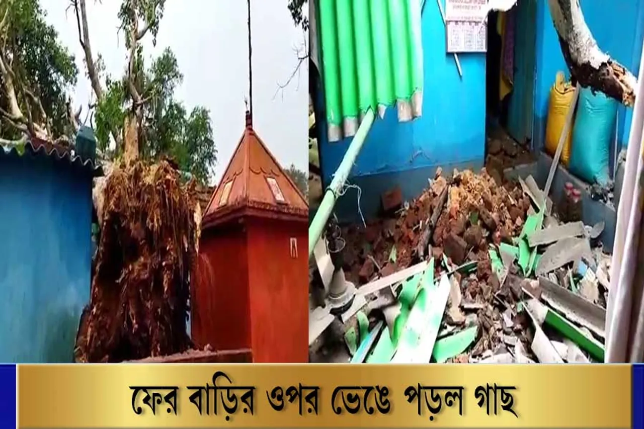 বাড়ির উপর ভেঙে পড়ল বিশালাকার গাছ