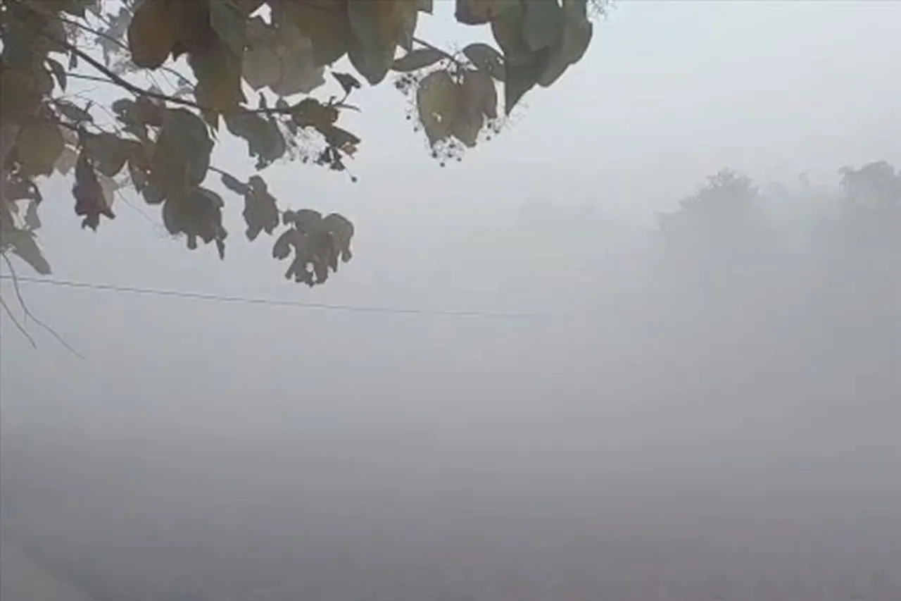 কুয়াশায় মোড়া বড়দিনের সকাল