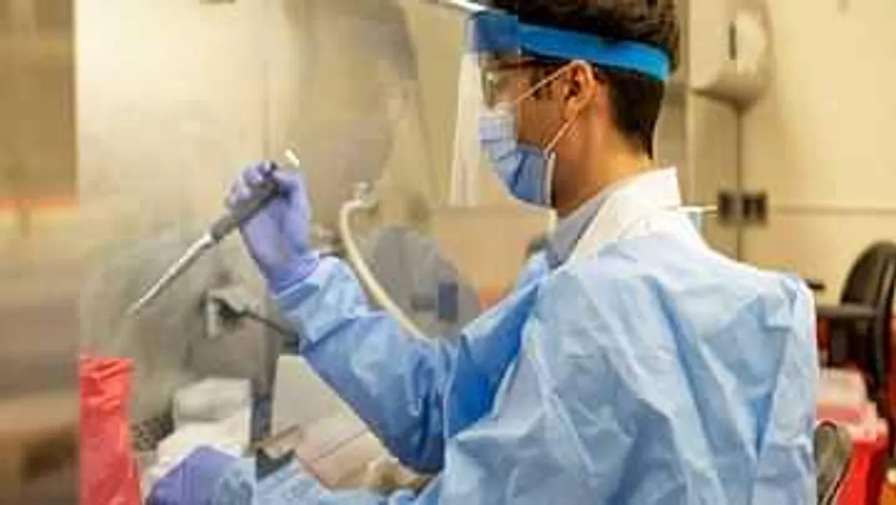 নীচের দিকে নামবে ওমিক্রনের গ্রাফ, কি বলছেন বিশেষজ্ঞরা?