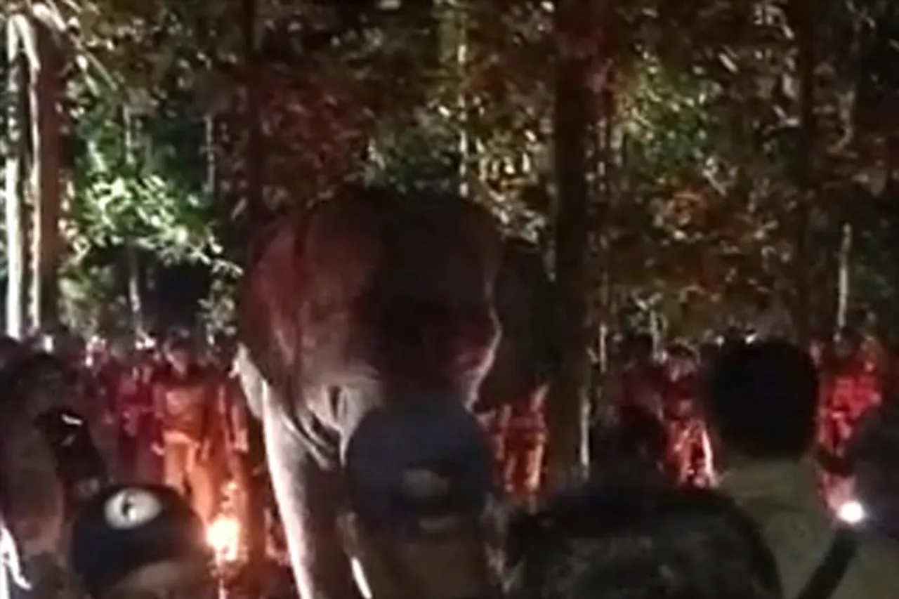 ধরা পড়লো এক দাঁতাল