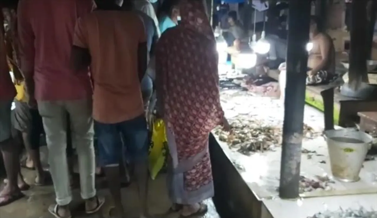 দীঘার বাজারে ইলিশের অভাব, দেখুন ভিডিও