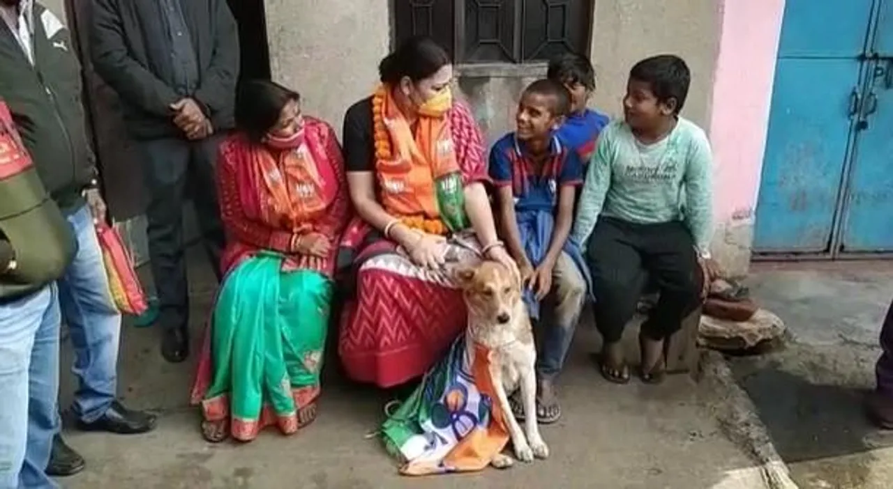 কুকুরের শরীরে তৃণমূলের পতাকা লাগানো নিয়ে বিতর্ক