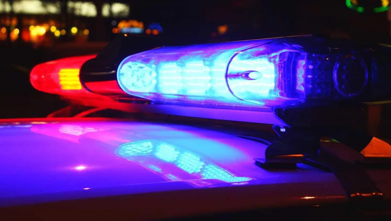 নেভাডার পশ্চিমাঞ্চলে বিমান দুর্ঘটনা , নিহত ৫