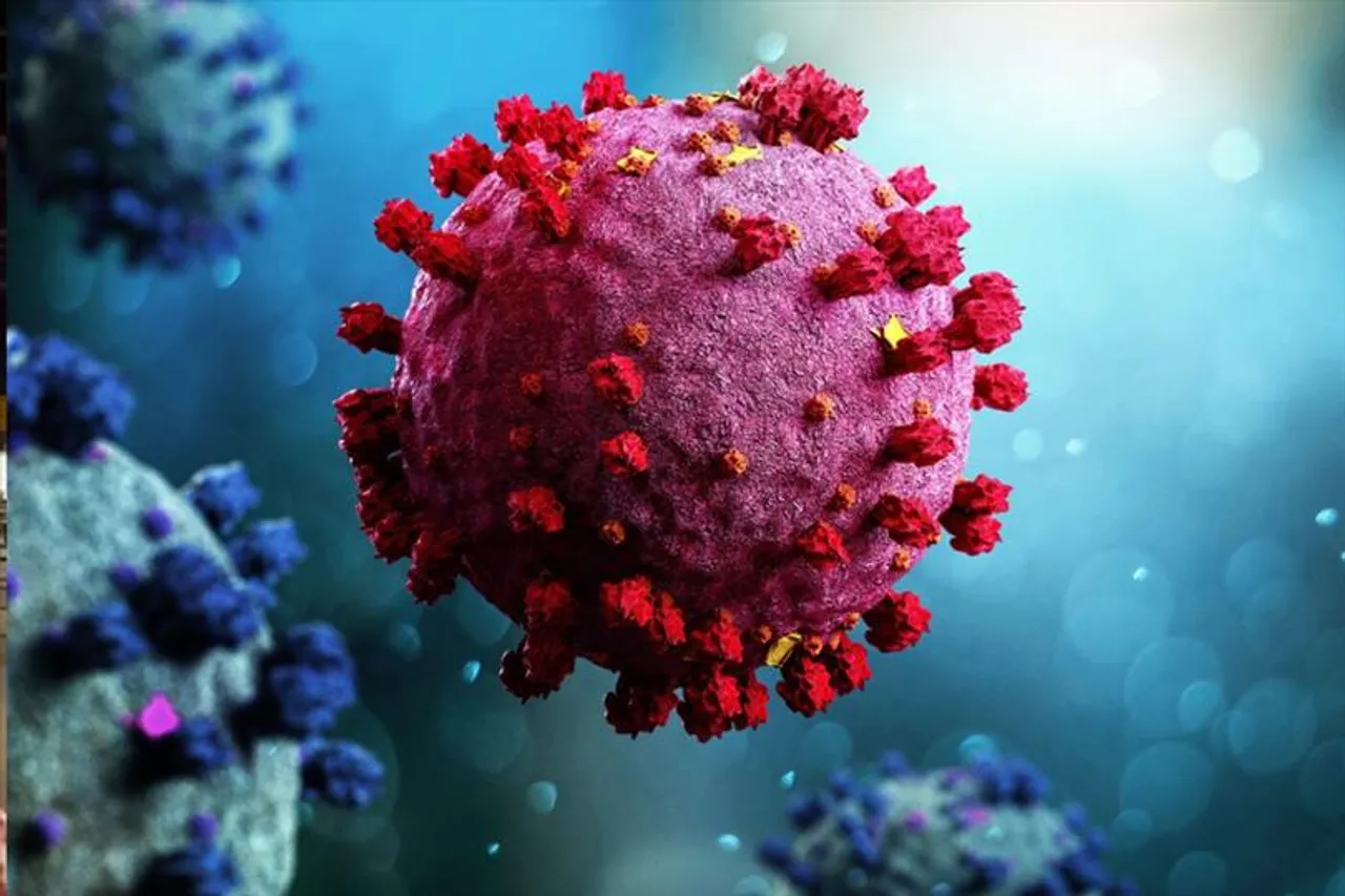 গত ২৪ ঘণ্টায় কোভিড পজিটিভ প্রায় ১৫০০০ জন