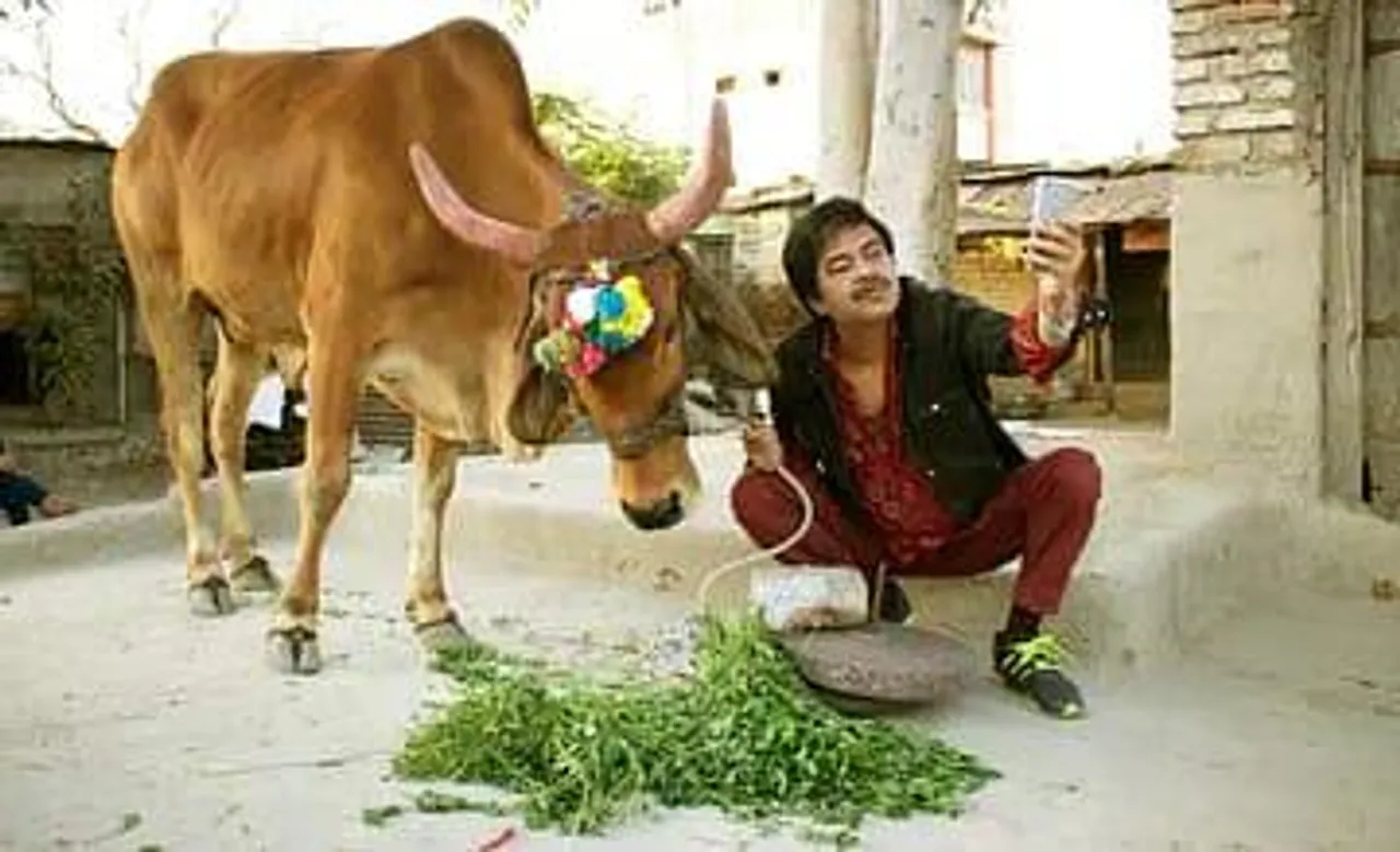 প্রকাশ্যে সঞ্জয় মিশ্র -র 'হলি কাউ' এর পোস্টার