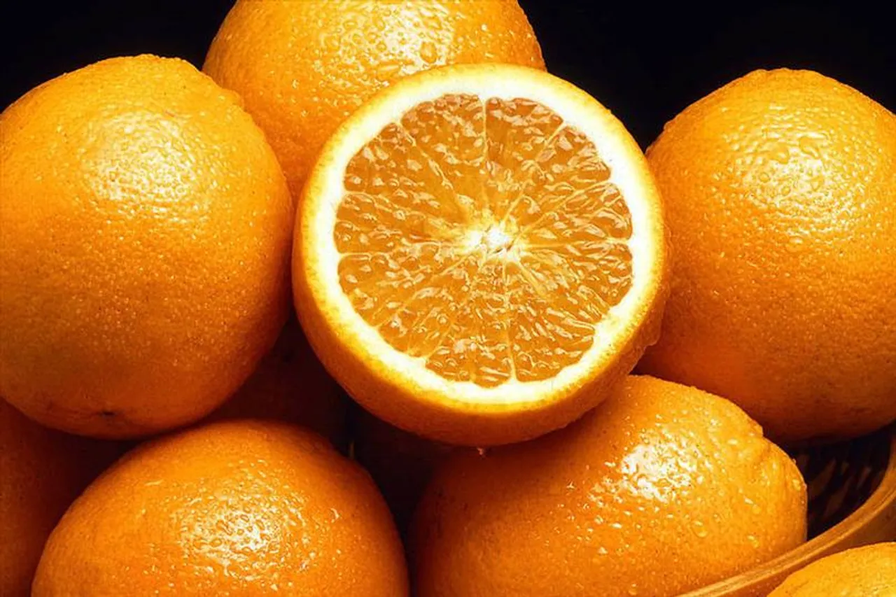 কমলালেবু চাষে সাফল্য এবং সতর্কতা