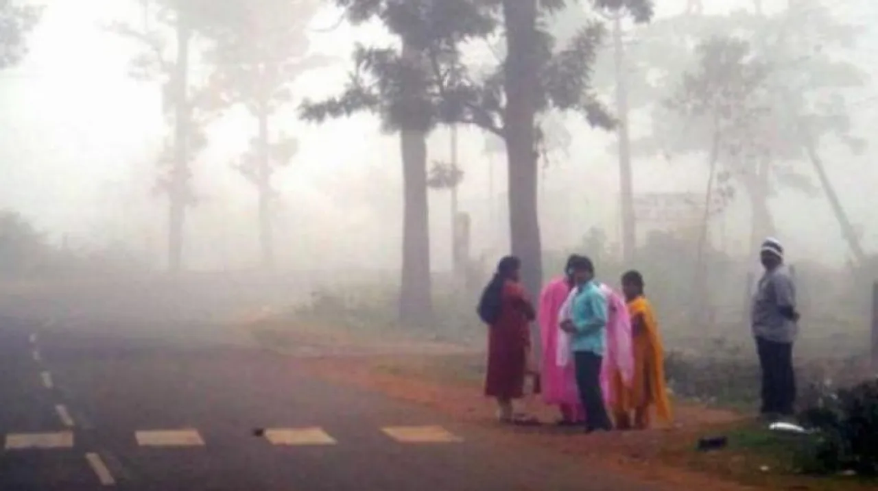 মকর সংক্রান্তিতে ফিরল হালকা শীতের আমেজ