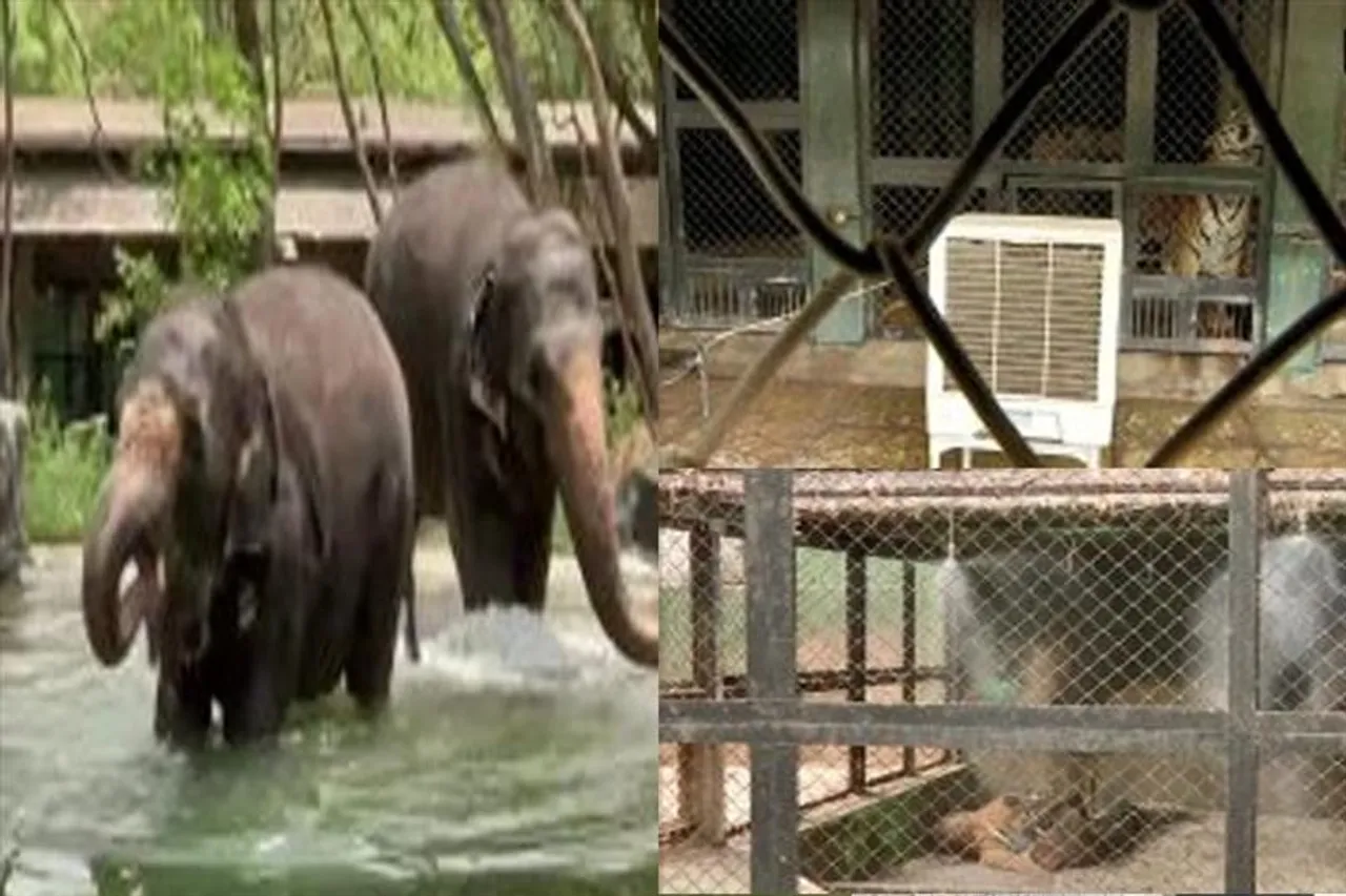 গ্রীষ্মের দাবদাহ থেকে বাঁচতে বিশেষ ব্যবস্থা চিড়িয়াখানায়