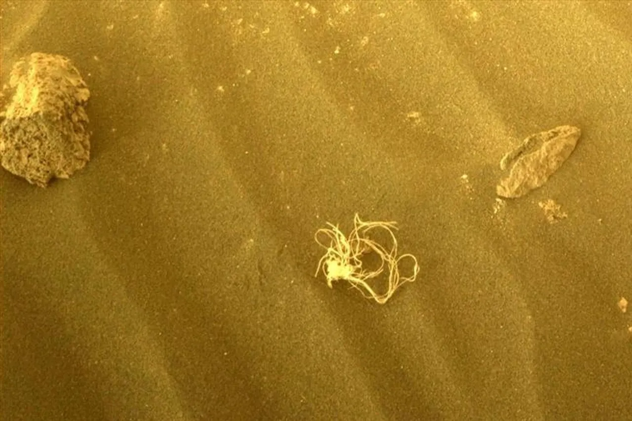 মঙ্গলে অদ্ভুত কিছু খুঁজে পেয়েছে NASA