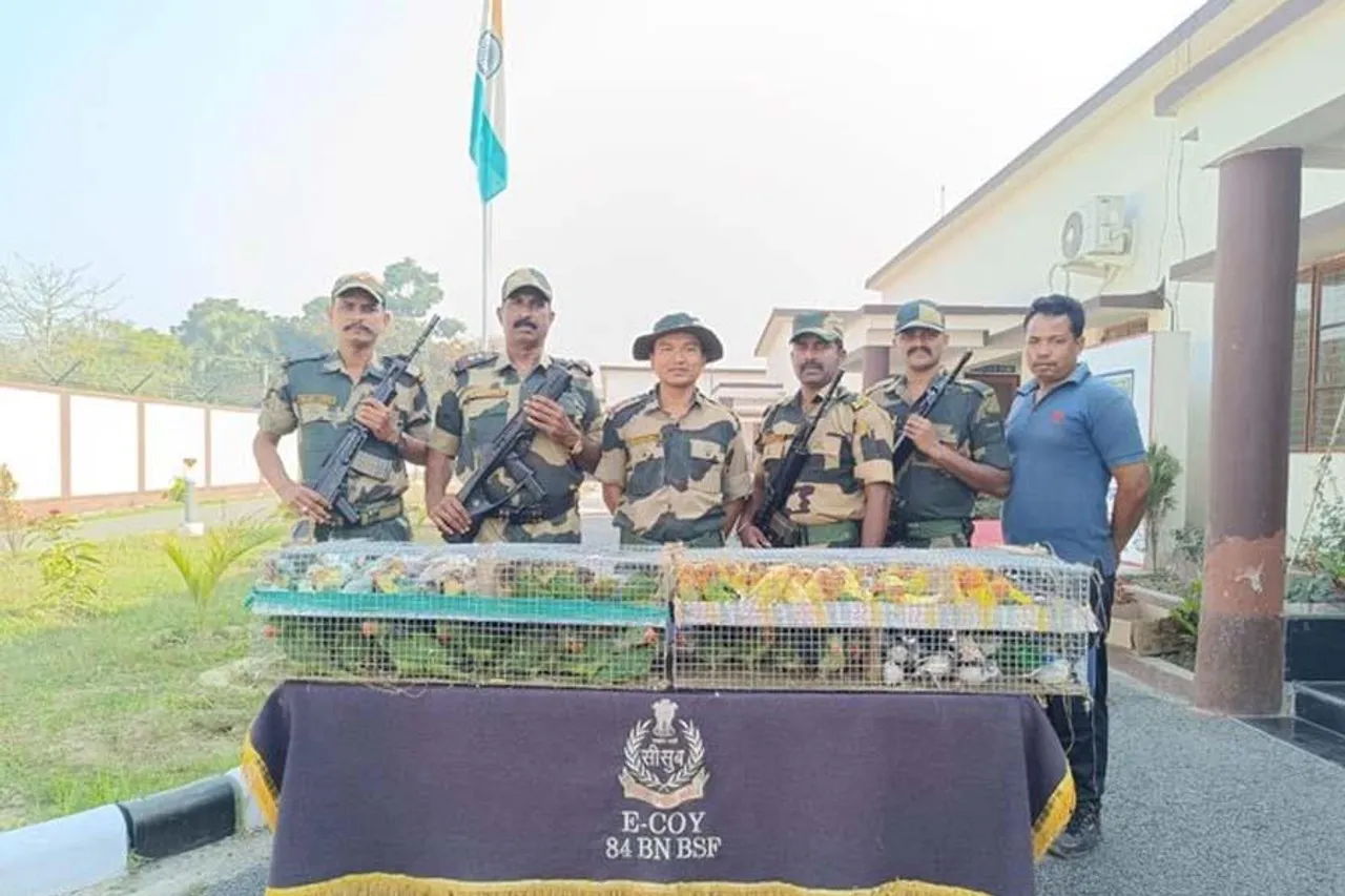 আবারও অবৈধ পাচার রুখল BSF