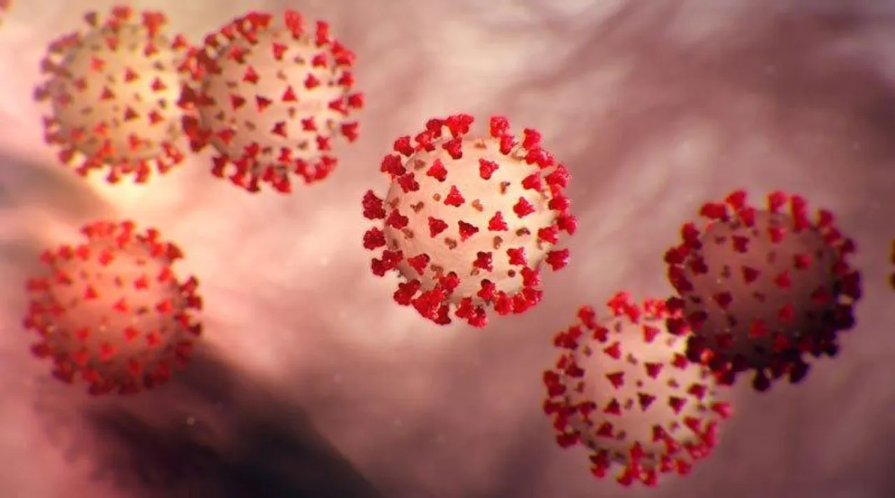 অনেকটাই কমল মহারাষ্ট্রের দৈনিক সংক্রমণ!