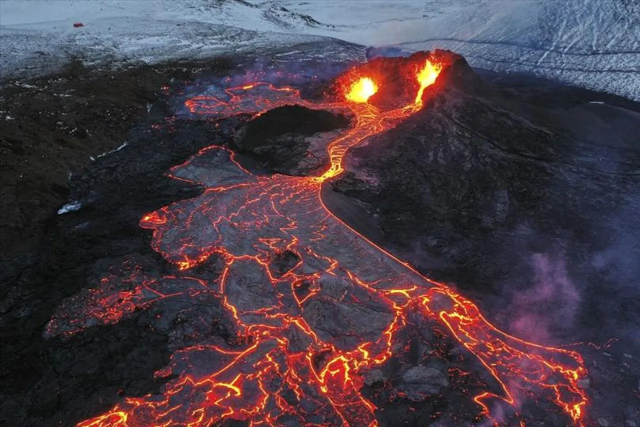 'নরক থেকে উঠে আসা বেড়াল'