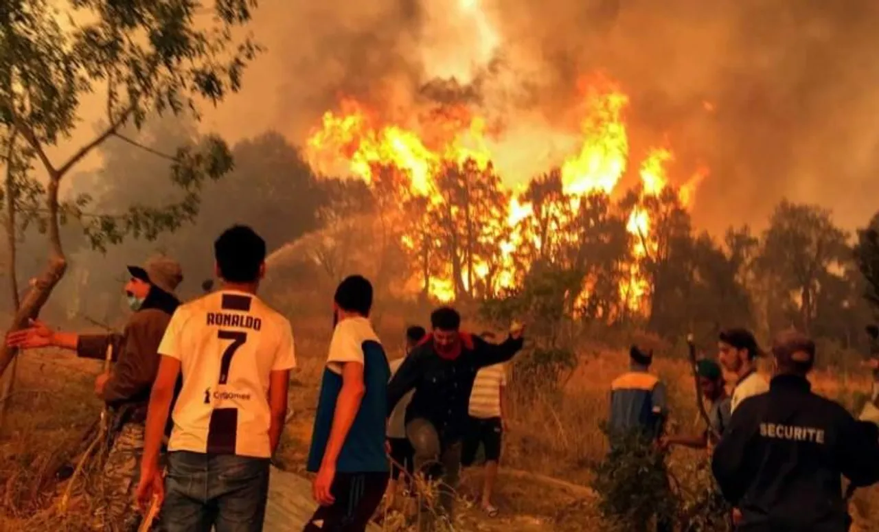 আলজেরিয়ায় দাবানলে ২৬ জনের মৃত্যু