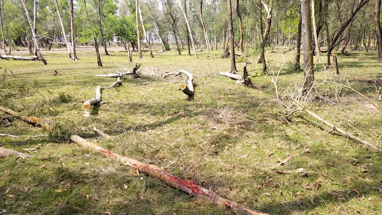 বেআইনি ভাবে গাছ কাটার অভিযোগ বন দফতর কর্মীদের বিরুদ্ধে