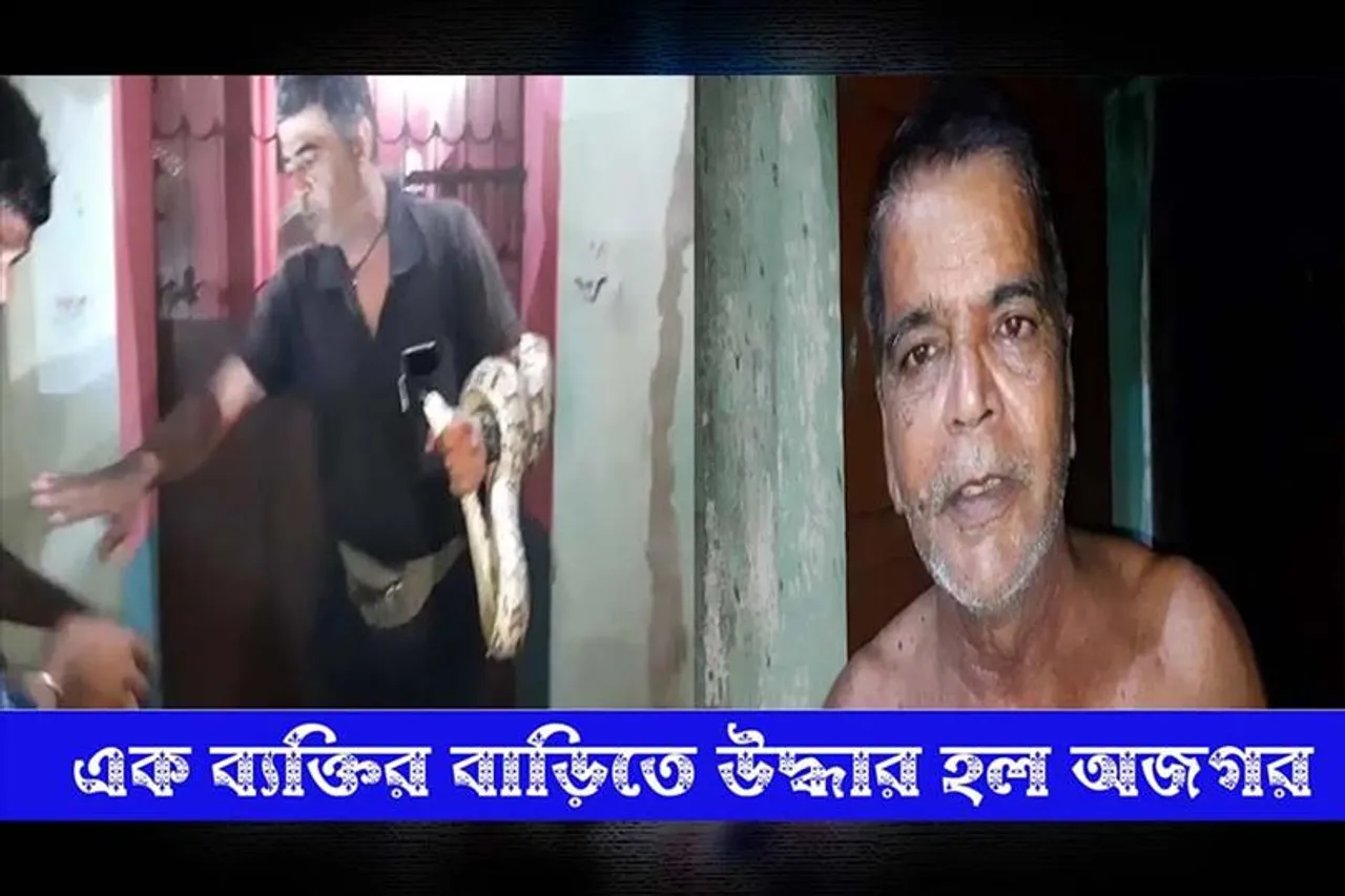 এক ব্যক্তির বাড়িতে উদ্ধার হল অজগর সাপ