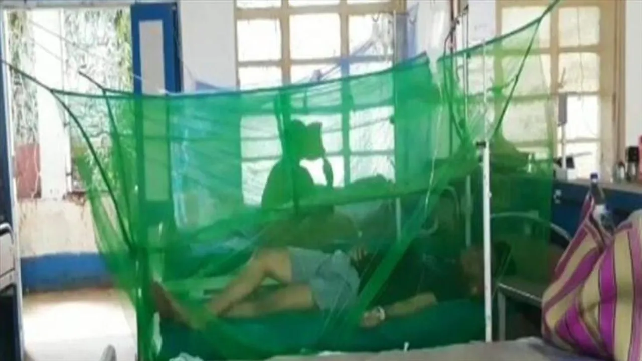 জঙ্গল মহলে ডেঙ্গুর প্রকোপ! গাপ্পি মাছ ছাড়ছে প্রশাসন