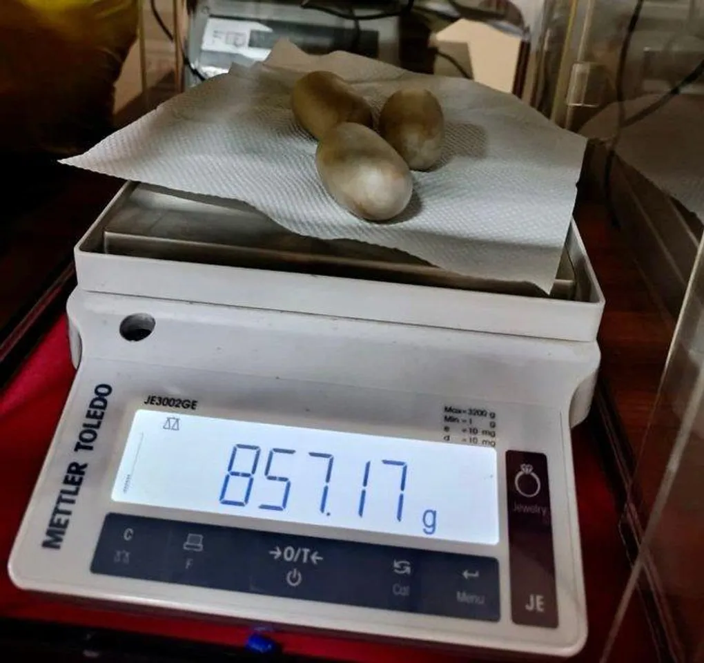 কোচি  বিমান বন্দরে উদ্ধার  সোনা