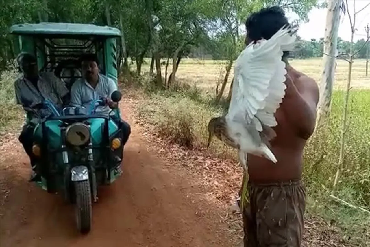 পাখি শিকারিদের দৌরাত্ম্য বেড়ে চলেছে দাসপুরে