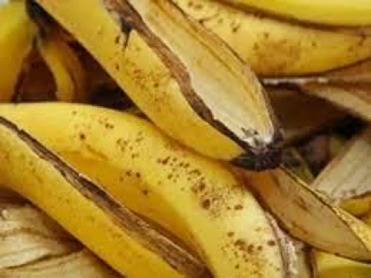 রূপচর্চায় কাজে লাগান ফলের খোসা