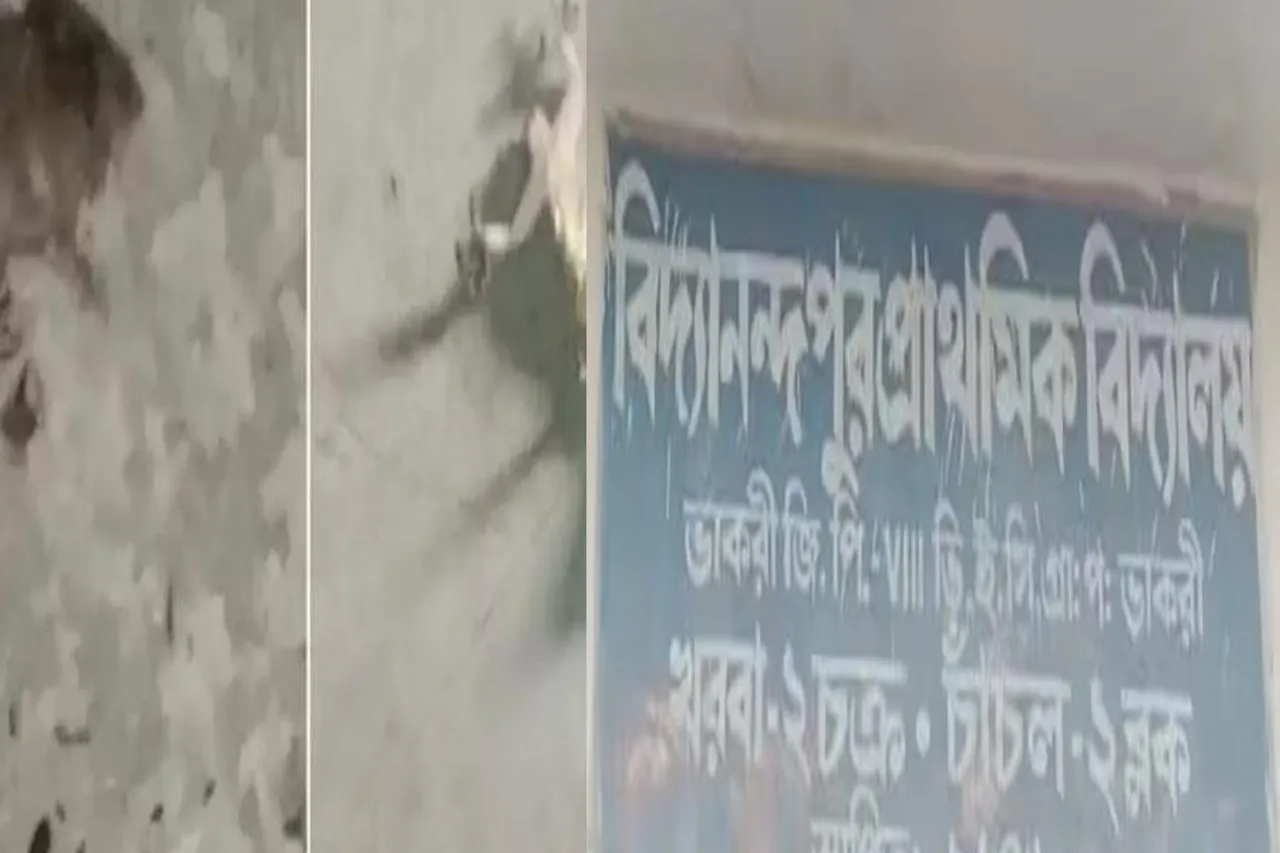 মিড ডে মিলে টিকটিকি-ইঁদুর, প্রধান শিক্ষককে সাসপেন্ডের নির্দেশ