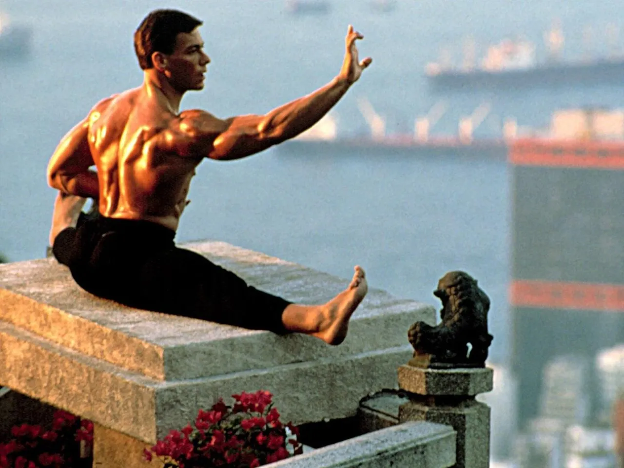 লেগ ডে কি টেসটোসটের বৃদ্ধি করে?