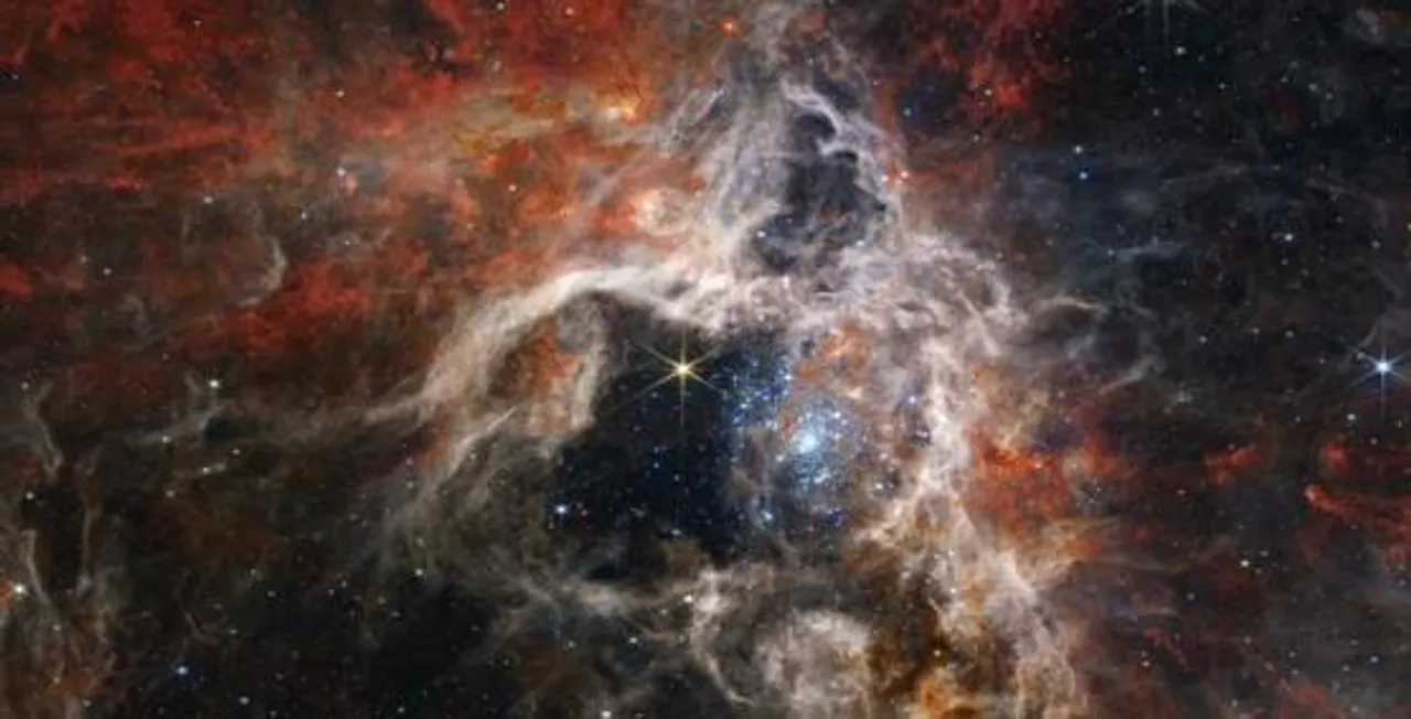 নাসার জেমস ওয়েব টেলিস্কোপে দেখা গেল কসমিক ট্যারান্টুলা নেবুলা