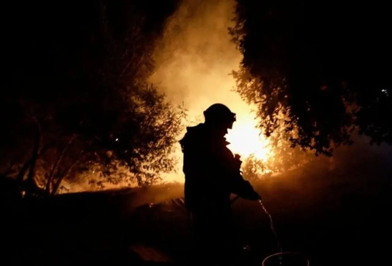 চিলির দাবানলে ৭৫০ হেক্টরের বেশি বনভূমি হুমকির মুখে