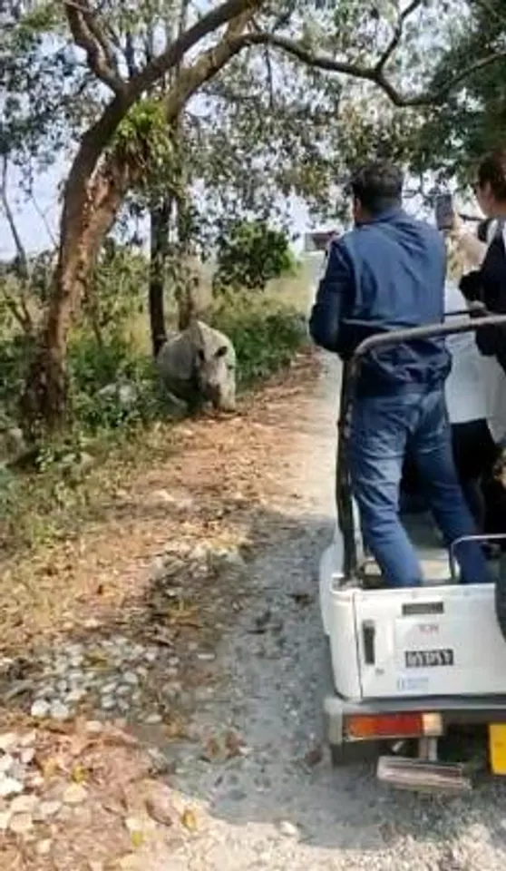 জলদাপাড়ায় জঙ্গল সাফারিতে বিপত্তি, পর্যটকদের গাড়িতে হামলা গণ্ডারের