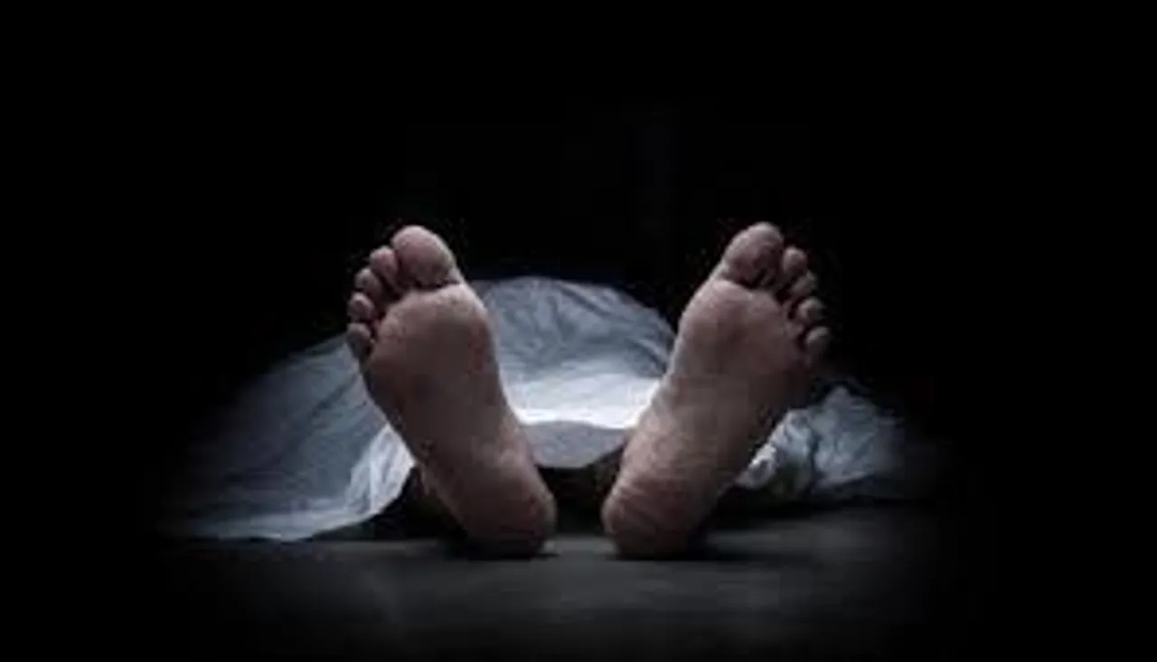 গাছ কাটতে গিয়ে গাছের টুকরো ছিটকে মৃত্যু ব্যক্তির