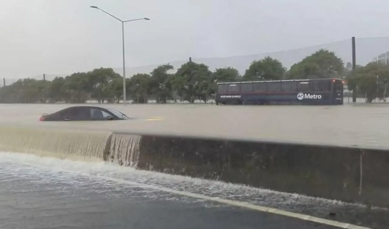 নিউজিল্যান্ডে ঘূর্ণিঝড়ে নিহত ৭