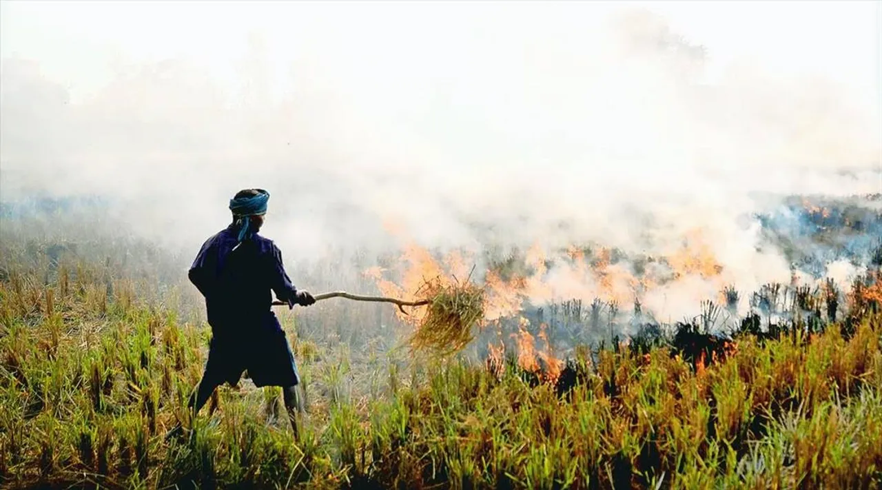 বায়ুদূষণ নিয়ে যা বললেন সুপ্রিম কোর্ট