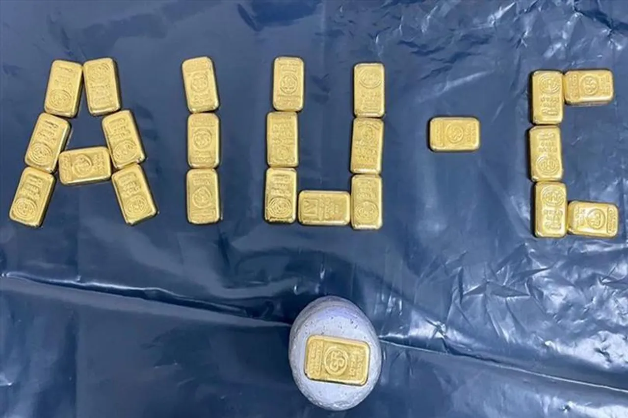 ২৪ ক্যারাট গোল্ডের ২৪টি বার সমেত আটক ২