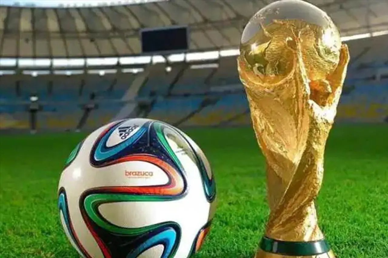 বিশ্বকাপ চলাকালীন কাতারে কতজন অভিবাসী শ্রমিক মারা গিয়েছেন?