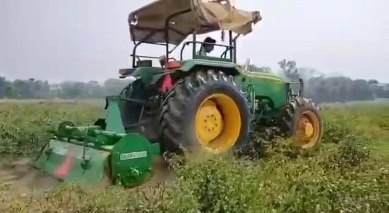 ফসলের দাম নেই, জমির ফসল ট্রাক্টর দিয়ে নষ্ট করছেন কৃষকরা
