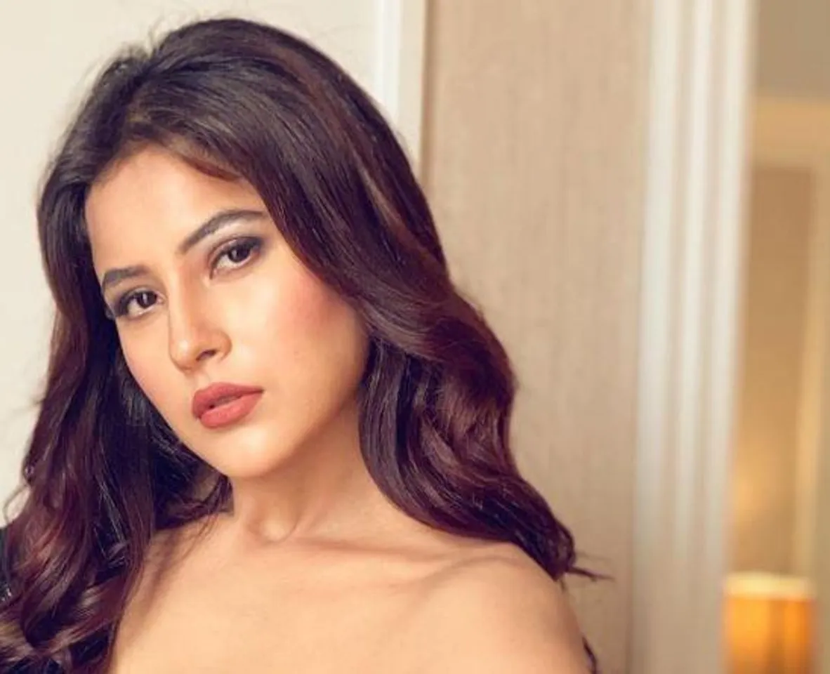 নতুন রুপে শেহনাজ গিল