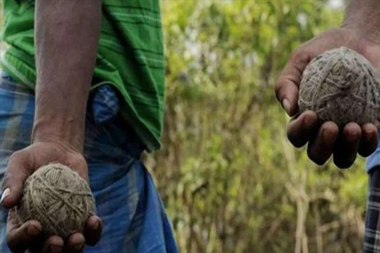 ভাটপাড়ায় উদ্ধার ৫০টি তাজা বোমা