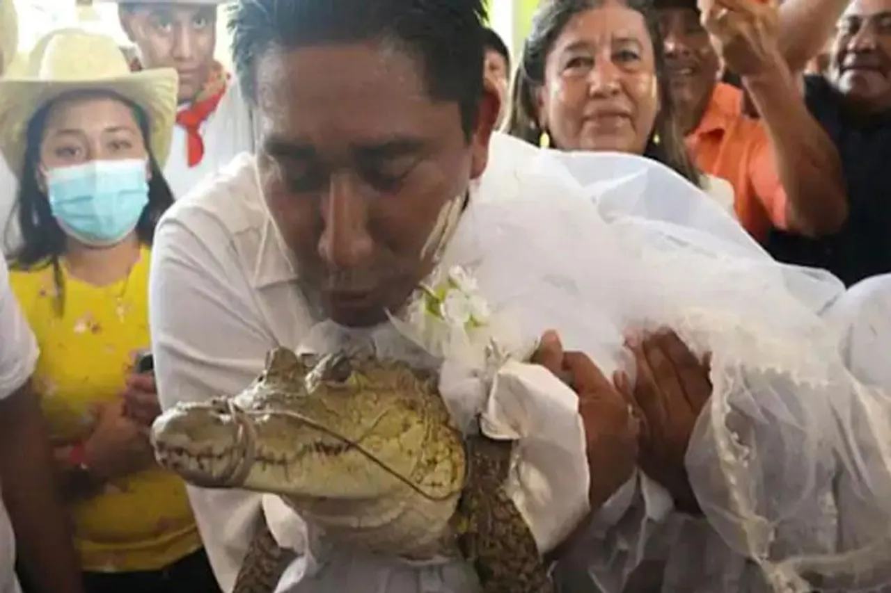 বিবাহ সারলেন কুমিরের সাথে, হতবাক বিশ্ব