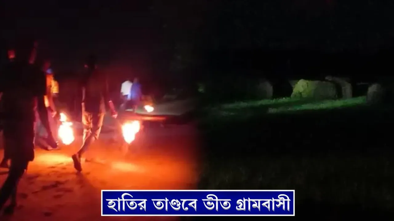 হাতির তাণ্ডবে ভীত গ্রামবাসী