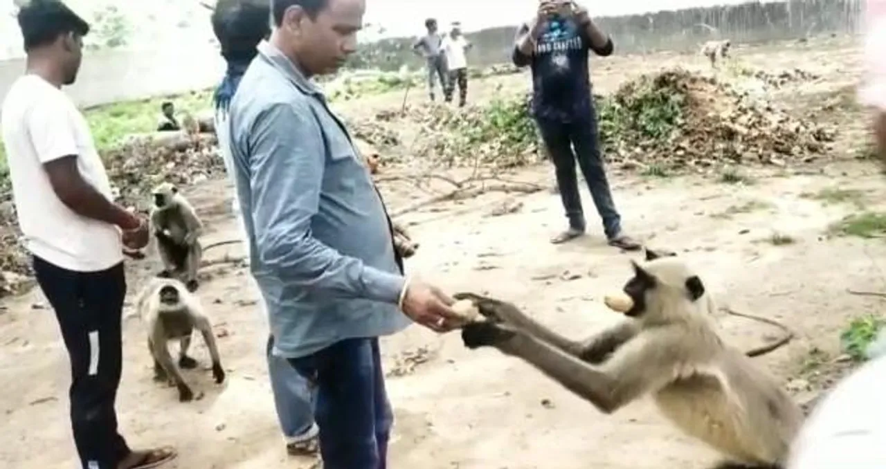 তৃণমূল অঞ্চল সভাপতির পশুপ্রেম, শুনুন গৌতম বাবুর বক্তব্য