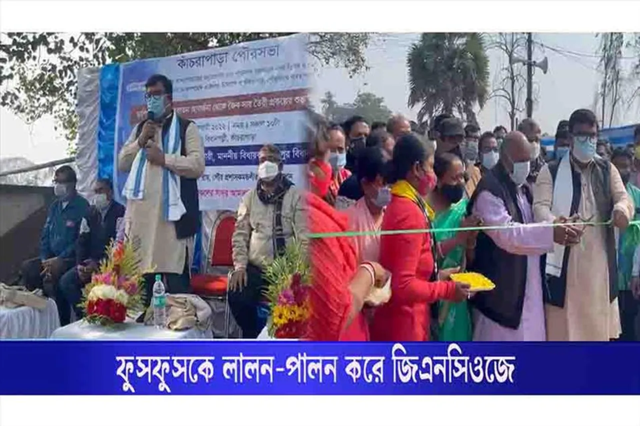 গ্রিনটেক এনভায়রন সিটি অফ জয় এর ফুসফুসকে লালন-পালন করে