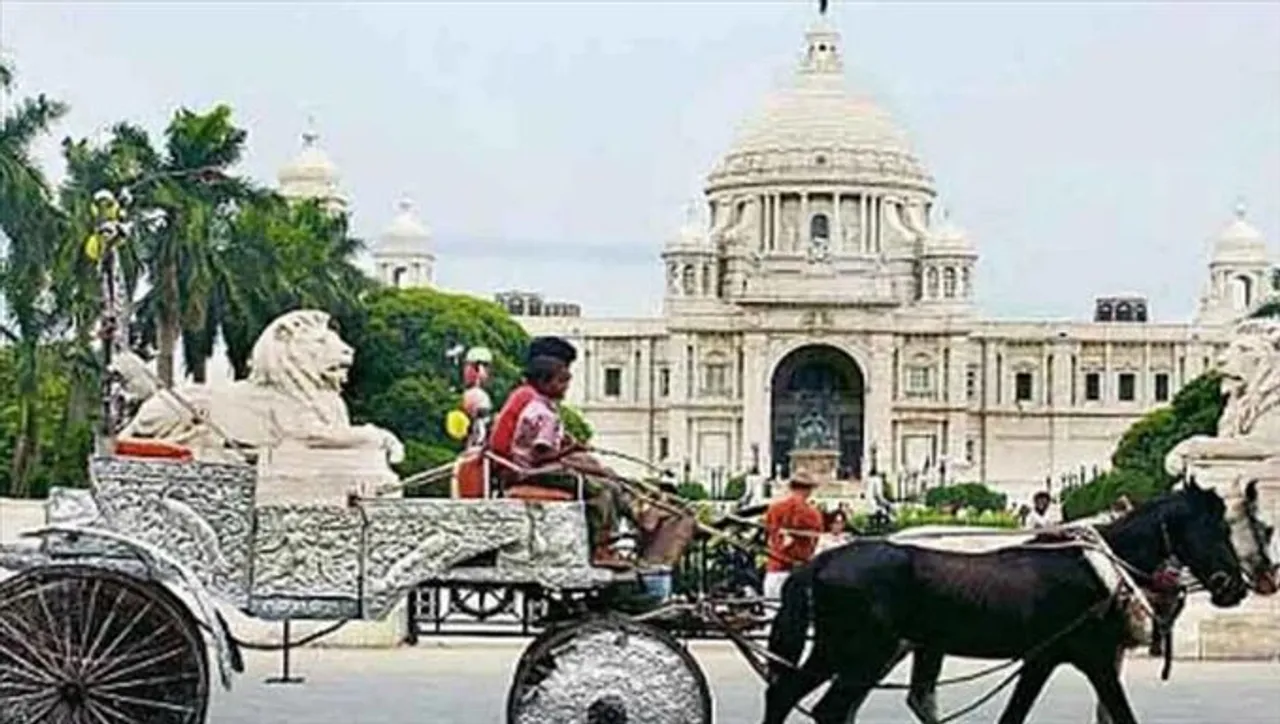 ময়দানের ঘোড়া চালানো নিয়ে কী ভাবছে রাজ্য?