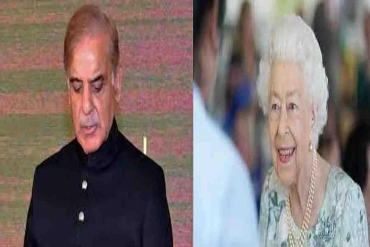 শোক প্রকাশ করলেন শেহবাজ শরীফ