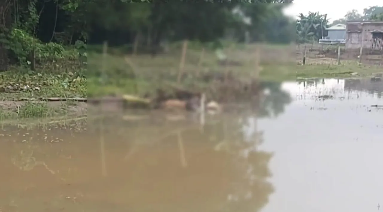 প্রবল বৃষ্টির জের, ডেবরায় ক্যানেল থেকে মৃতদেহ উদ্ধার ঘিরে চাঞ্চল্য