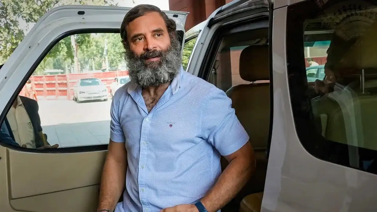 দিল্লি বিমানবন্দরে পৌঁছলেন রাহুল গান্ধী