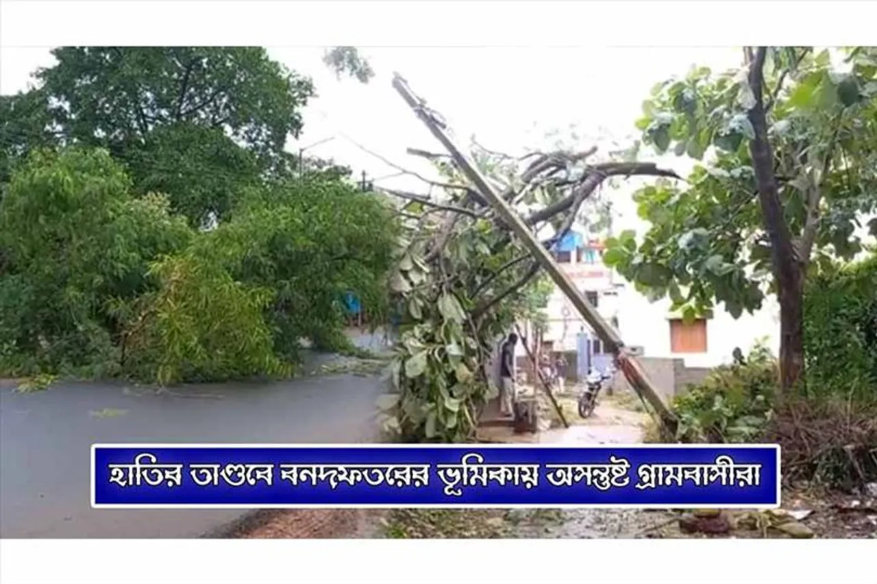 ঝড়ে গাছ পড়ে বিপত্তি, ব্যাহত যান চলাচল