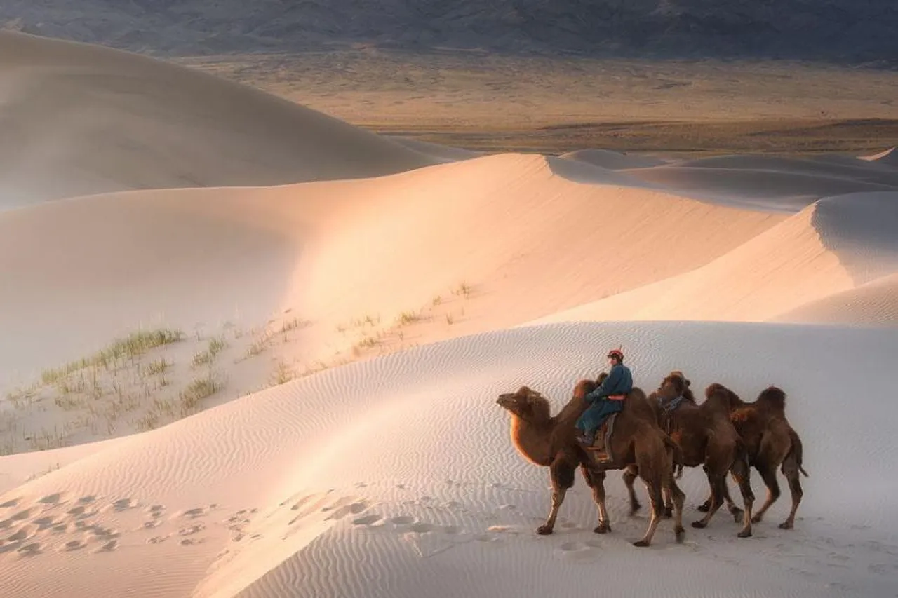 উত্তরের দিকে এগোচ্ছে মরুভূমি